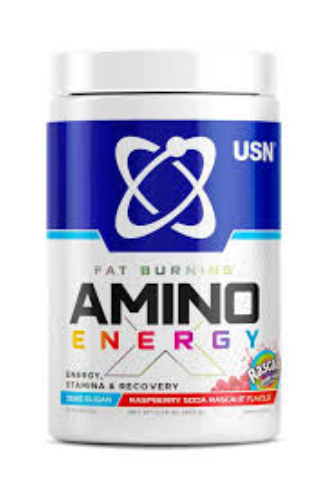 Amino Fat Burning X Blueberry Rascal 300g 